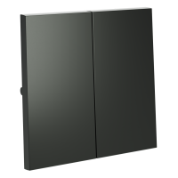 Клавиши для выключателя/переключателя двухклавишного, S70 (титан)