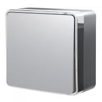 Выключатель одноклавишный Gallant (серебряный)W5010006