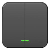 BLANCA О/У 2-клавишный ВЫКЛЮЧАТЕЛЬ (сх.5) с подсв., 10А, 250В, АНТРАЦИТ