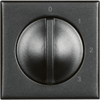 BT Axolute Антрацит Переключатель 4-позиционный поворотный