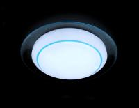 F46 BL 48W D450 ORBITAL Многофункциональный (ПДУ)