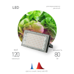 Фитопрожектор для растений светодиодный ЭРА FITO-80W-RB-LED-Y красно-синего спектра