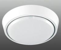 Cветодиодный накладной светильник DLR 25W R-280-CW-WHITE/WHITE-220-IP44