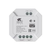 A90S-02CH-WF РЕЛЕЙНЫЙ МОДУЛЬ SMART AC 220-240В 2 канала 2x8A Макс 2800Вт Wi-Fi IP20