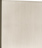 Заглушка, никель, серия N96