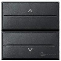 BT Axolute Антрацит Axial Выключатель жалюзийный кнопочный 10А)  2 мод