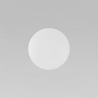 Настенный светильник 6009 Luna White