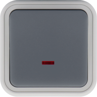 Выключатель звонкового типа 1-клавишный накладной, с подсветкой, цвет серый, IP55, серия W55