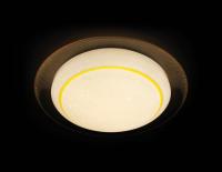 F46 YL 48W D450 ORBITAL Многофункциональный (ПДУ)