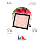 Фитопрожектор для растений светодиодный ЭРА FITO-100W-Ra90-LED для цветения и плодоношения полного спектра 100 Вт