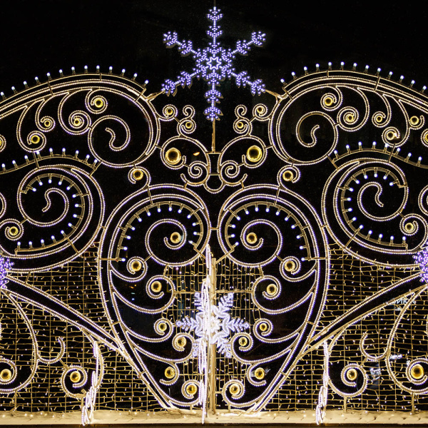 Дюралайт ARD-REG-STD Cool (220V, 24 LED/m, 100m) (Ardecoled, Закрытый)