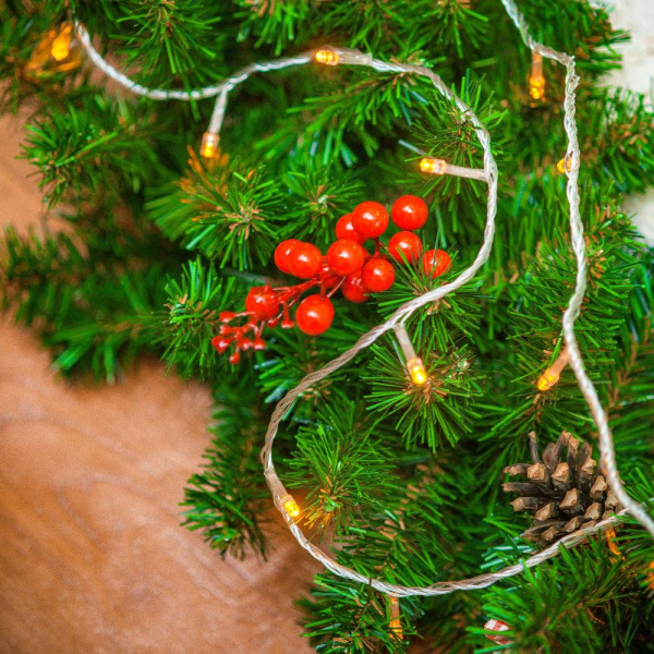 Светодиодная гирлянда ARD-CURTAIN-HOME-2000x2500-CLEAR-300LED Warm (230V, 12W) (Ardecoled, IP20)