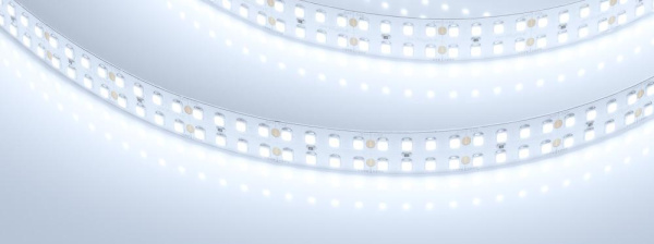 Лента RT-5000-2835-320 24V White6000 (15mm, 24W/m, IP20) (Arlight, высок.эфф.150 лм/Вт)