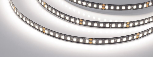 Лента RT-A160-BLACK-8mm 24V Day4000 (12 W/m, IP20, 5m) (Arlight, -)