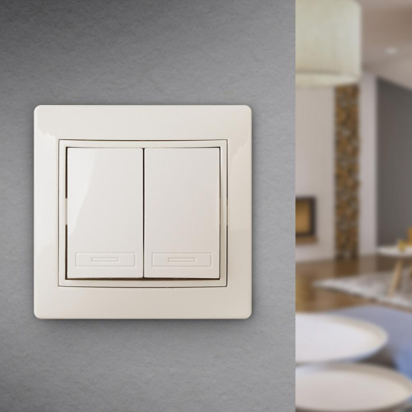 Выключатель Intro Plano 1-104-02 двухклавишный, 10А-250В, IP20, СУ, слоновая кость