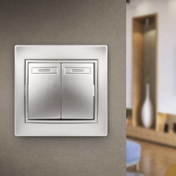 Выключатель Intro Plano 1-104-03 двухклавишный, 10А-250В, IP20, СУ, Plano, алюминий