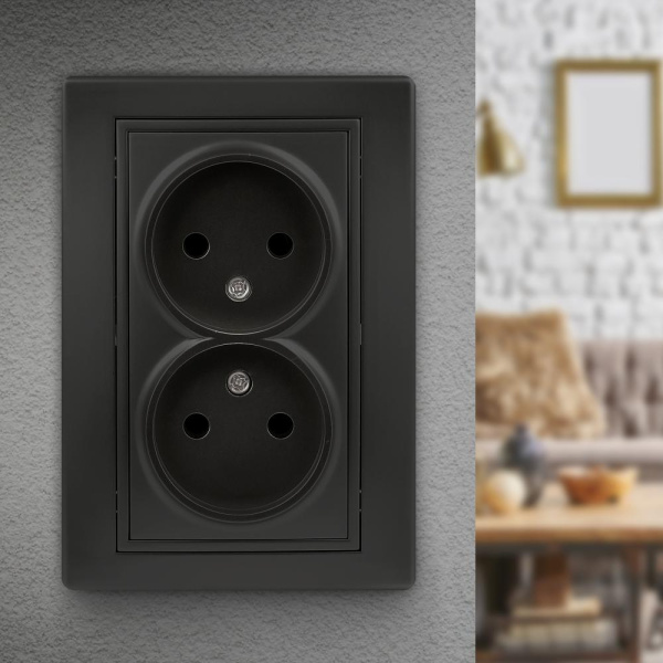 Розетка Intro Plano 1-204-05 без заземления двойная 2х2P, 16А-250В, IP20, СУ, антрацит