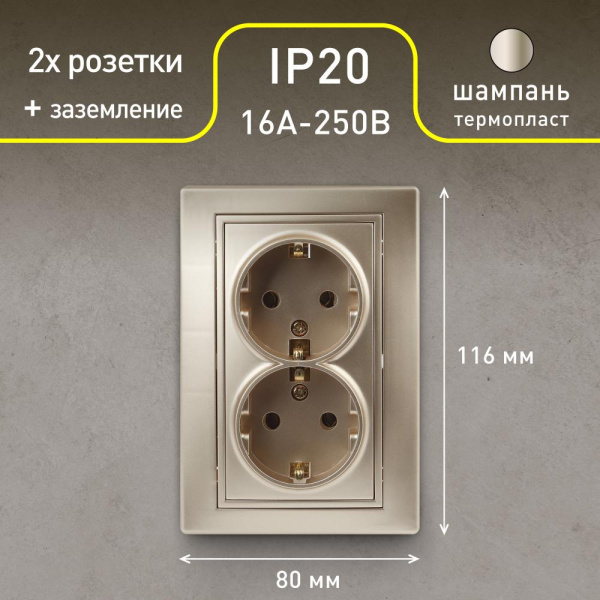 Розетка Intro Plano 1-205-04 с заземлением двойная 2X2P+E Schuko, 16А-250В, IP20, СУ, шампань