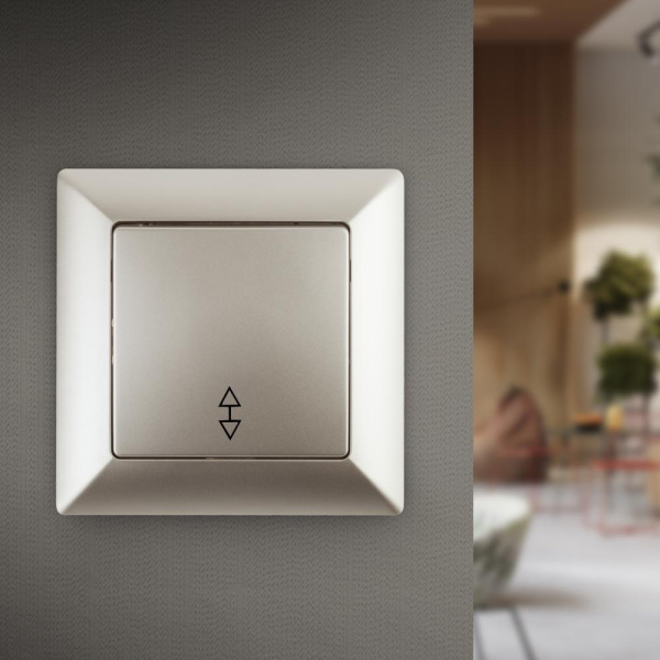 Переключатель Intro Solo 4-103-04 одноклавишный 10А-250В, IP20, СУ, шампань