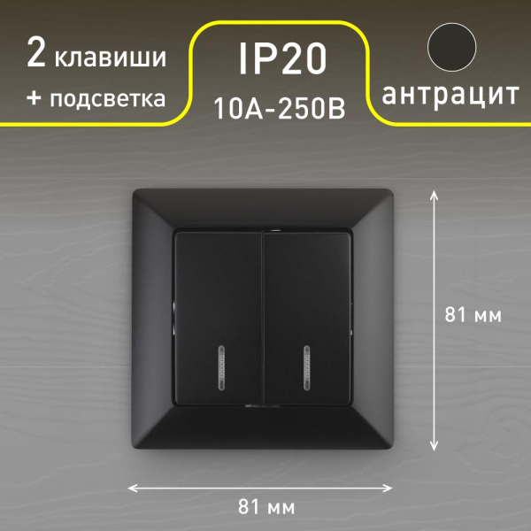 Выключатель Intro Solo 4-105-05 двухклавишный с подсветкой, 10А-250В, IP20, СУ, Solo, антрацит