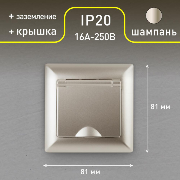 Розетка Intro Solo 4-203-04 с заземлением 2P+E Schuko с крышкой, 16А-250В, IP20, СУ, шампань