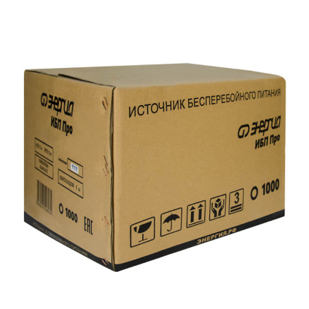 ИБП Энергия Про 1000