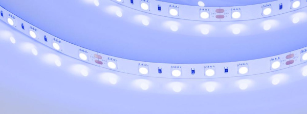 Лента RT-B60-10mm 24V Blue (14.4 W/m, IP20, 5m) (Arlight, Открытый)