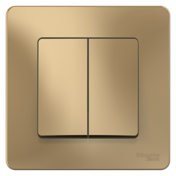 BLANCA С/У 2-клавишный ВЫКЛЮЧАТЕЛЬ (сх.5), 10А, 250В, ТИТАН