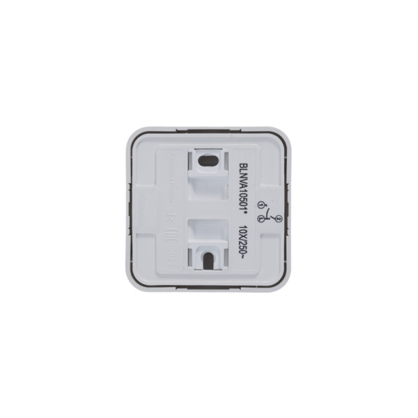 BLANCA О/У 2-клавишный ВЫКЛЮЧАТЕЛЬ (сх.5) ИЗОЛ.ПЛ., 10А, 250В,БЕЛЫЙ