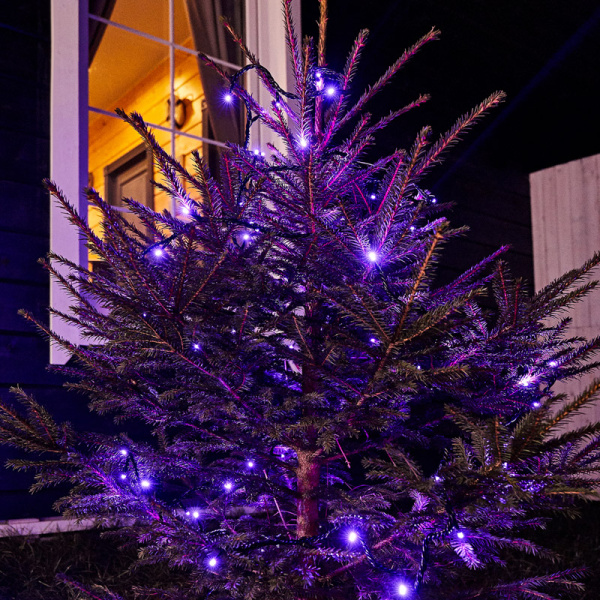 Гирлянда Твинкл Лайт 10 м, черный ПВХ, 100 диодов, цвет фиолетовый (контроллер в комплекте)