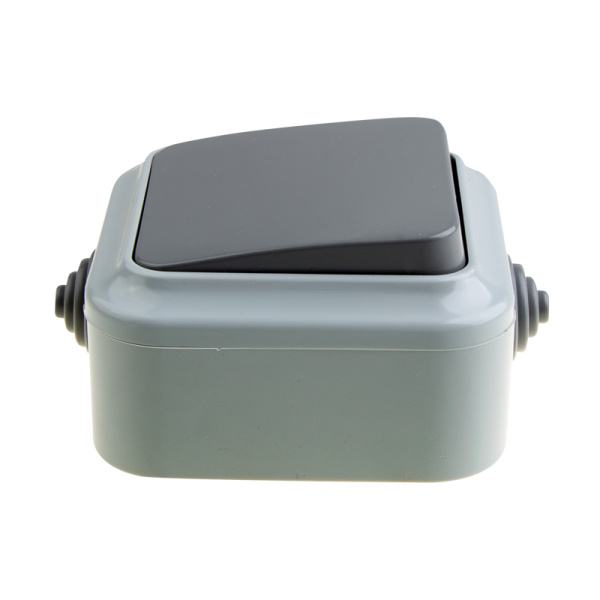 Выключатель одноклавишный влагозащищенный открытой установки REXANT IP54, 6 А, А1 6-212(03)