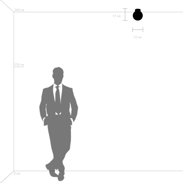 812017 Люстра GLOBO 1х40W E14 matt black/white