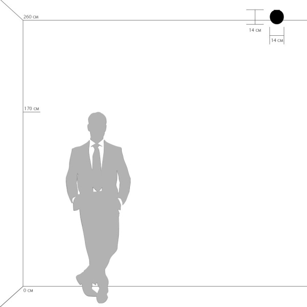 803010 Настенно-потолочный светильник GLOBO 1х40W G9 БЕЛЫЙ/СЛОНОВАЯ КОСТЬ