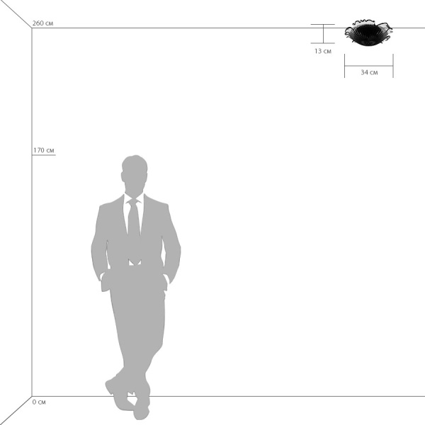 601033 Люстра MURANO 3х40W E14 Ambra