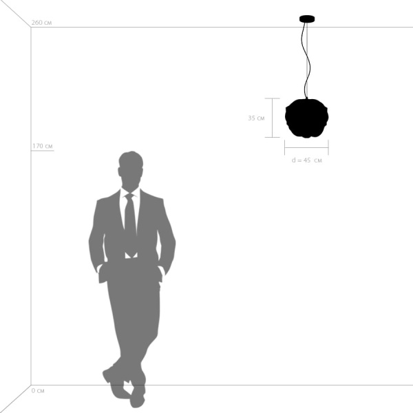 799020 Люстра ERBAREO 1x60W E27 ЧЕРНЫЙ