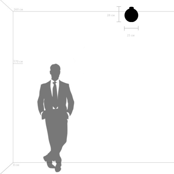 812037 Люстра GLOBO 1х40W E14 matt black/white