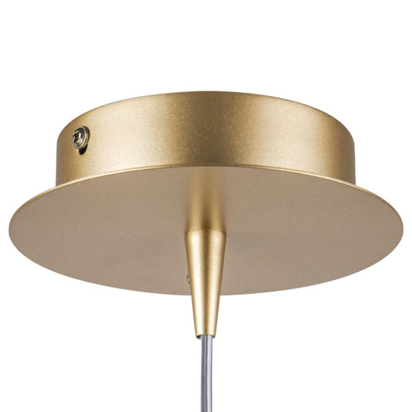 808023 Подвес FORMA 1х10W (led) E14 ШАМПАНЬ/КОНЬЯК