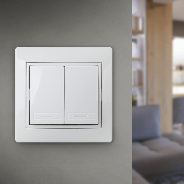 Выключатель Intro Plano 1-104-01 двухклавишный, 10А-250В, IP20, СУ, белый