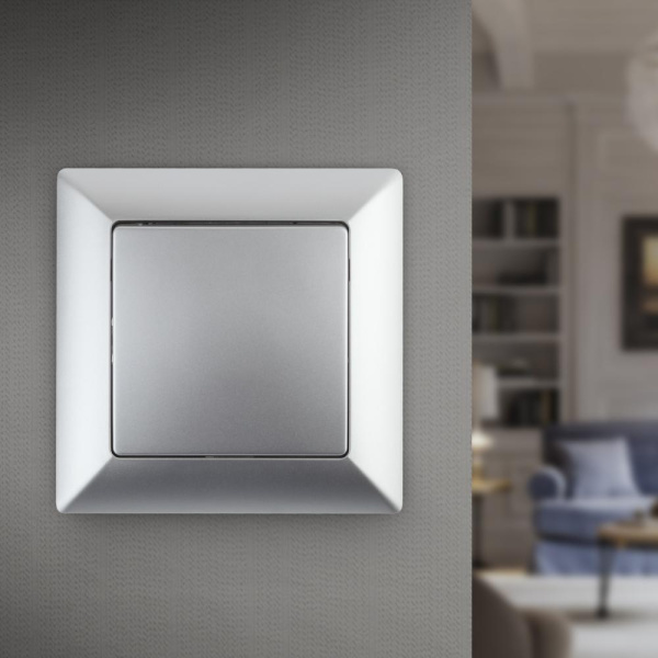 Выключатель Intro Solo 4-101-03 одноклавишный 10А-250В, IP20, СУ, алюминий