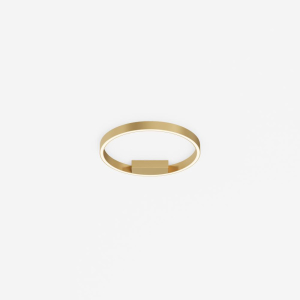 Потолочный светильник Maytoni MOD058CL-L25BSK