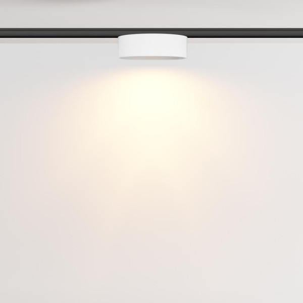 Трековый светильник Technical TR189-1-12W2.7K-BW