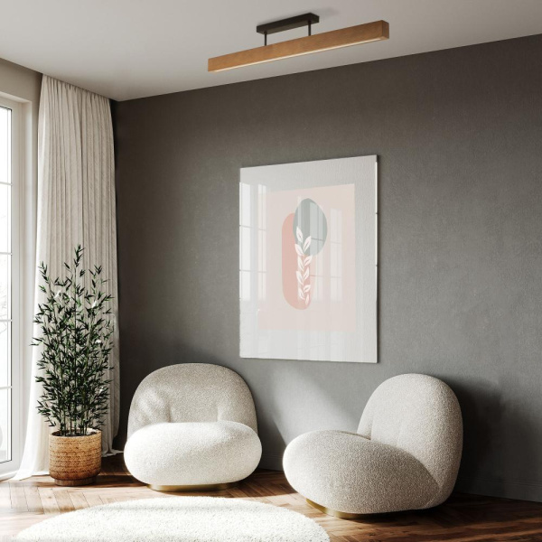 Потолочный светильник 6614 Teo