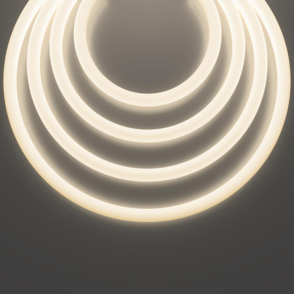 Гибкий неон Nemo D25 24В 14,4Вт/м 4000К IP65 5м