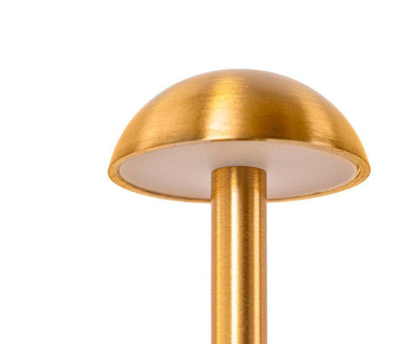 07208-T,20 Автономная настольная лампа Дамари