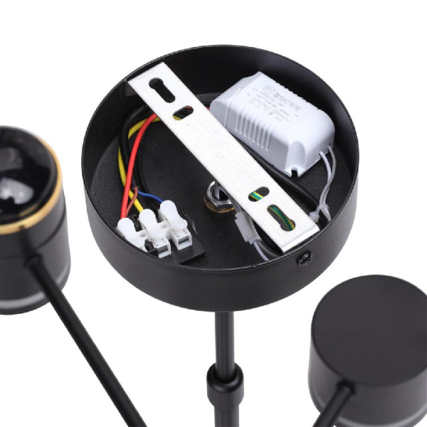 8234/6C COMFI LN25 000 черный, металл/акрил Люстра потолочная LED GX53 6*10W + LED-проектор 3*5W 2700К 220V VIRSAVA