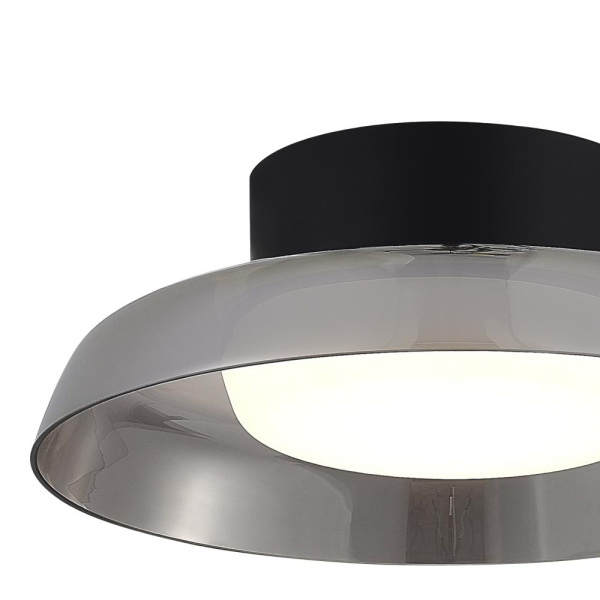 SL6019.412.01 Светильник потолочный ST-Luce Черный/Дымчатый, Белый LED 1*24W FORAY