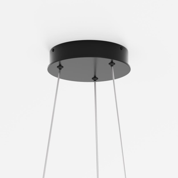 Подвесной светильник Maytoni MOD058PL-L65BK