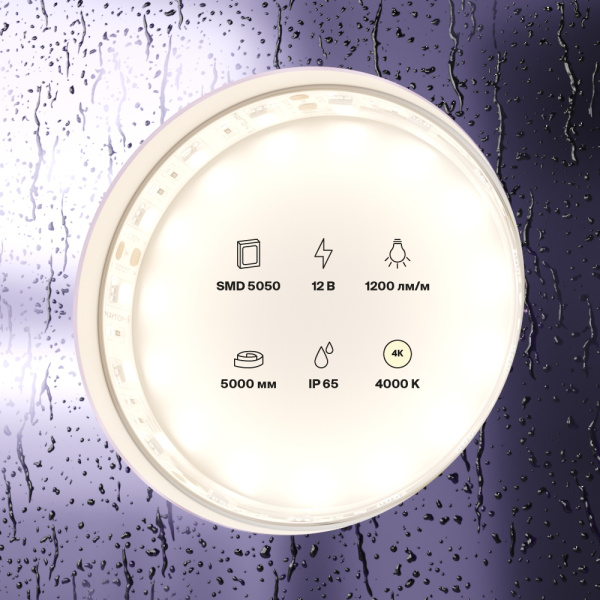 Светодиодная лента 12В 5050 14,4Вт/м 4000K 5м IP65