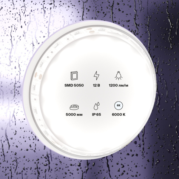 Светодиодная лента 12В 5050 14,4Вт/м 6000K 5м IP65