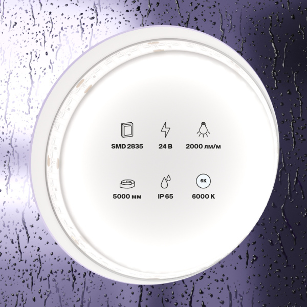 Светодиодная лента 24В 2835 20Вт/м 6000K 5м IP65